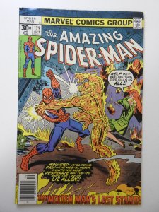 The Amazing Spider-Man #173 (1977) FN- Condition!