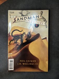 The Sandman: Overture #3 McKean Cover (2014) the Monks of Klaa