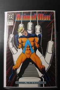 Animal Man #11 (1989)