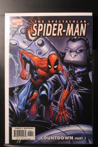 Spectacular Spider-Man #6 (2004)