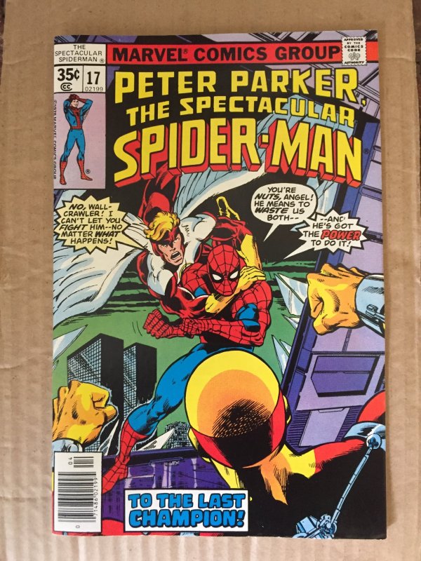 Peter Parker The Spectacular Spider-Man #17