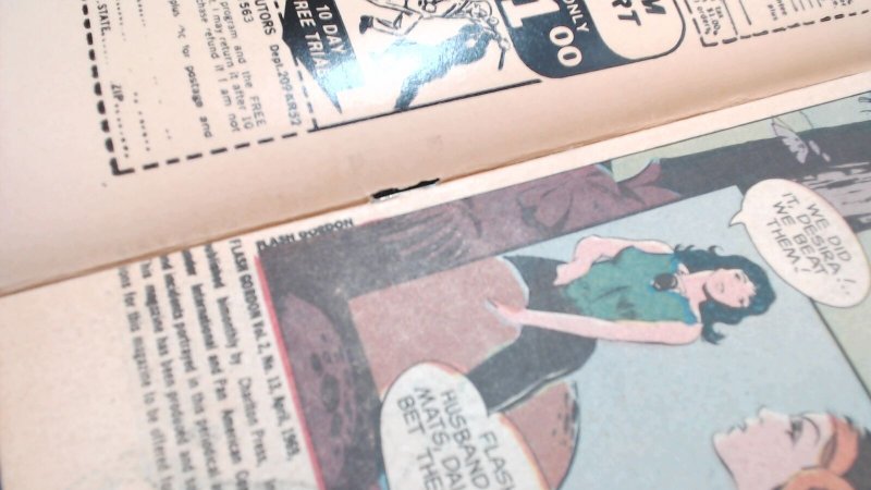 Flash Gordon #13 (Apr 1969) 3.0 GD/VG Charlton Sci-Fi Jeff Jones Art Comic