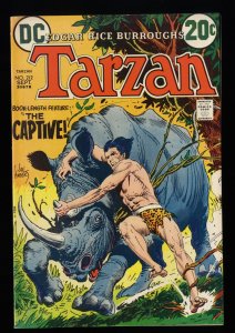 Tarzan of the Apes #212 FN+ 6.5