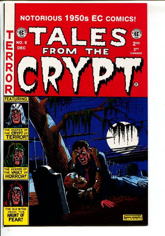 Tales From The Crypt-#6-1993- Ross Cochran EC reprint