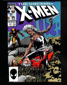 Gli Incredibili X-Men #25 (1992)