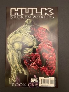 Hulk: Broken Worlds #1 (2009) - MT