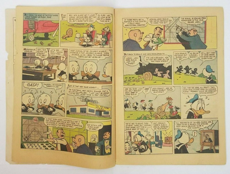 Walt Disney's Donald Duck #82 (1962) Dell Comics