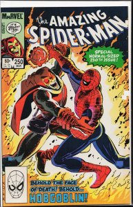 The Amazing Spider-Man #250 (1984) Spider-Man