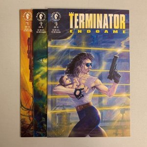 Terminator Endgame #1-3 Set (Dar Horse 1992) 1 2 3 James Robinson (8.5+) 