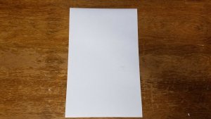 Batman Detective Comics # 49 Cover Neal Adams 11 x 17 Signed Print DC TB1