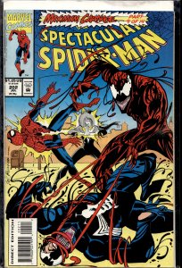 The Spectacular Spider-Man #202 (1993) Spider-Man