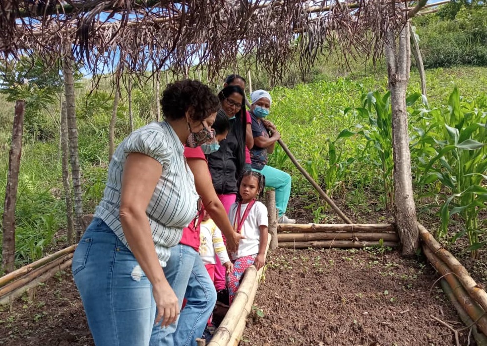 Huertos comunitarios