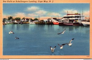 New Jersey Cape May Sea Gulls At Schellengers Landing 1953