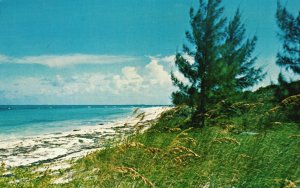 Vintage Postcard Ocean Beach From Coco Bay Cottages Green Turtle Cay Sea Garden