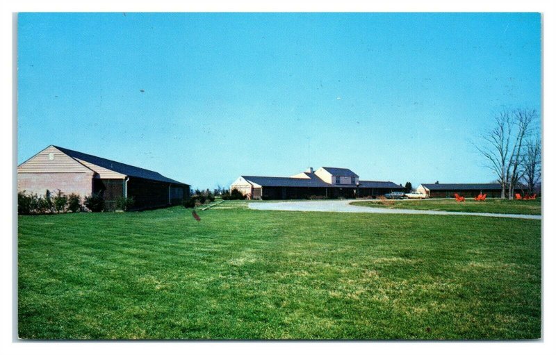 1950s/60s Riverview Courts, Trappe, MD Postcard *6S(3)22