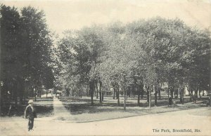 Brookfield Missouri The Park Bunch 1911 Linn County Postcard people 24-9671