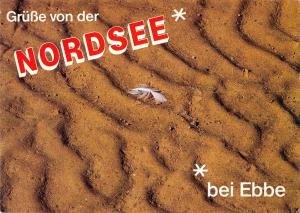 BT11462 Nordsee bei ebbe germany       Germany