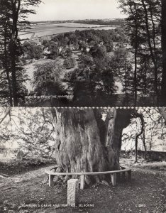 Selborne From The Hanger Trumpeters Grave 2x Hampshire Postcard