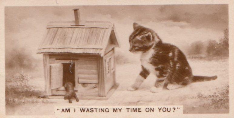 Cat & Mouse In Dolls House German Old Real Photo Cigarette Card