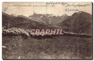 Old Postcard The Alps Picturesque Bres Chambeyron Shepherd Sheep