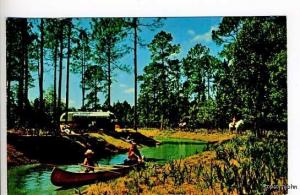 Walt Disney World RV Trailer Motor Home Postcard