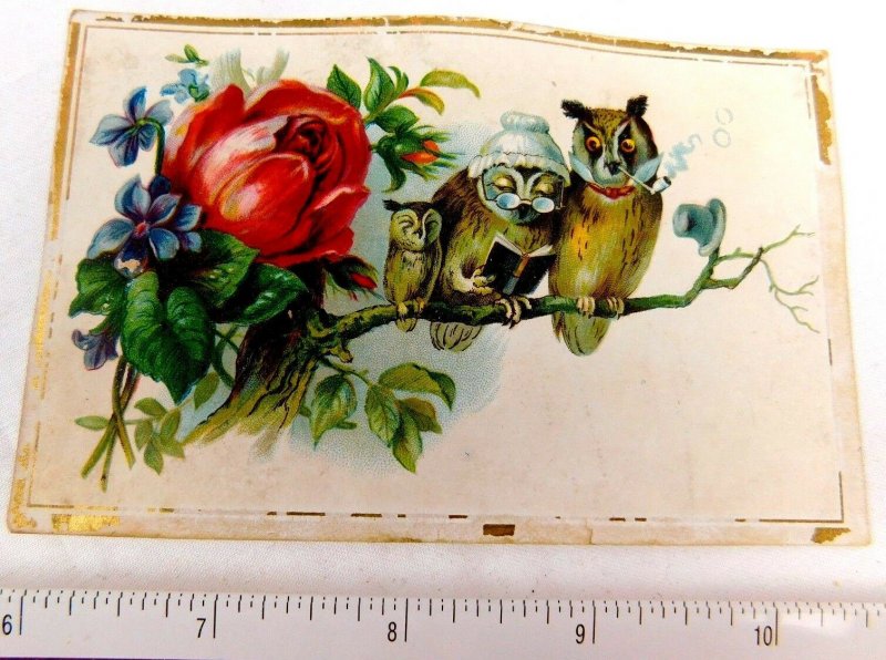 Anthropomorphic Owl Family Smoking Pipe Reading Lion Coffee Victorian Card F49