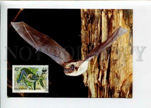 3132592 WWF Bulgaria BAT old 4 postcards MAXIMUM CARD 1989 year