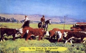 Amarillo, Texas, Cowboy Western 1953 close to perfect corners, light paper sc...