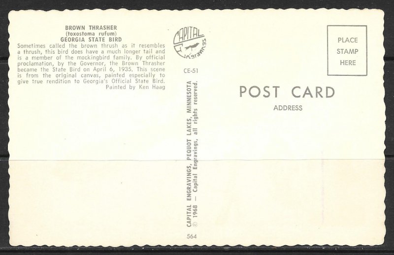 Georgia - State Bird - Brown Thrasher - [GA-003]