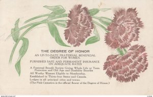 WILLMAR , Minnesota , 1916 ; DEgree of Honor Award , Fraternal Beneficial Ord...