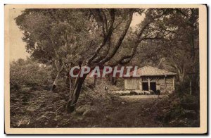 Landes Old Postcard The homecoming