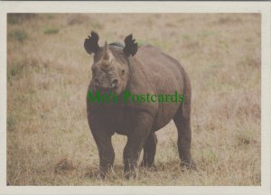 Animals Postcard - Rhino / Rhinoceros in Kenya, WWF 2014 - Ref.RR17354