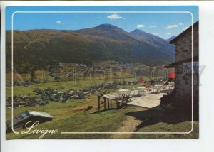 442191 ITALY Lombardia Livigno tourism advertising cafe Old postcard