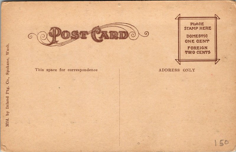 Vtg 1910s Steamer Colfax on the St Joe River Idaho ID Antique Postcard