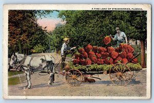 1921 A Fine Load Of Strawberries Florida Horse Wagon Miami FL Vintage Postcard