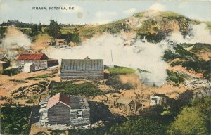 New Zealand Rotorua Whaka geyser in action vintage postcard