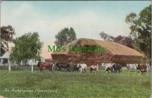 Australia Postcard - Farming & Cows - An Australian Homestead RS27746