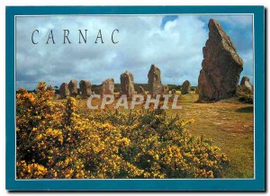 Postcard Modern Color Brittany in Carnac gorse and menhirs