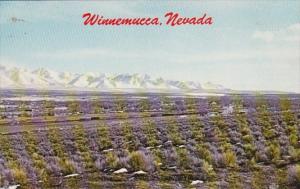 Nevada Winnemucca Panoramic View