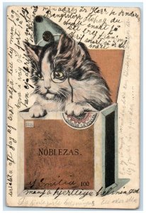 1905 Anthropomorphic Cat Nobelza Tobacco Advertising Posted Antique Postcard