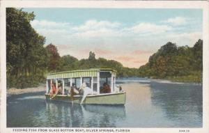 Florida Silver Springs Feeding Fish From Glass Bottom Boats Curteich