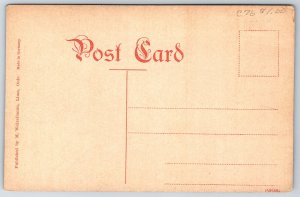 Mansfield Ohio~Carnegie Public Library~Cost $37,000~c1910 Postcard