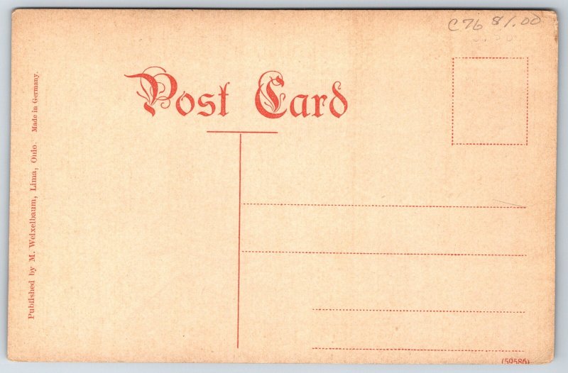 Mansfield Ohio~Carnegie Public Library~Cost $37,000~c1910 Postcard