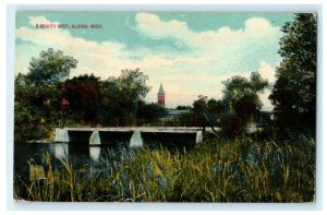 A Beauty Spot Albion Michigan 1912 Wauseon OH Bridge Vintage Antique Postcard 