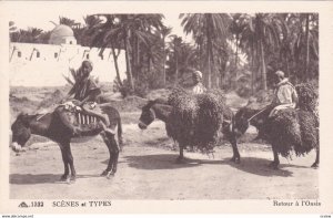 Kids on Donkey , Retour a l'Oasis, 1910s; Algeria