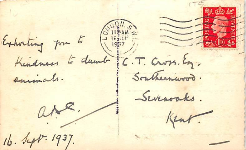 Man With Cub real photo 1957 