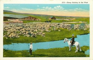 Western, Sheep Raising in West, Robbins Tillquist No. A-6646-N