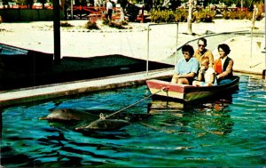 Florida Islamorada Theater Of The Sea Porpoise Powered Boat