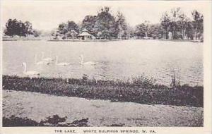 West Virginia White Sulphur Springs The Lake Albertype