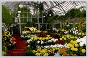 Milwaukee WI Mum Flower Show Mitchell Park Conservatory Wisconsin Postcard E28